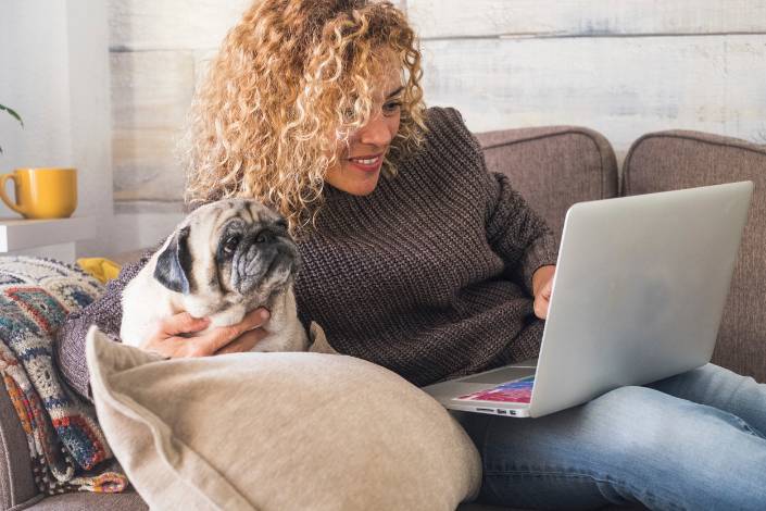 House Sitting  Jobs in  Sweden